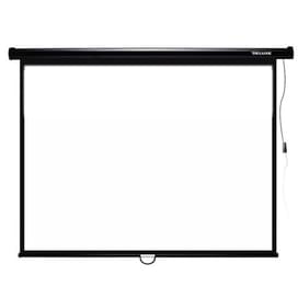 Экран механический  Deluxe DLS-M229-185W, Настенный/потолочный,221х125 см., 16:9, Matt white фото