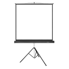 Deluxe Үшаяққа орнатылған экраны, DLS-T203x, 195х195 см., 1:1, Matt white фото
