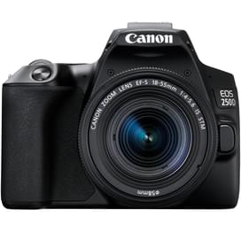 Зеркальный фотоаппарат Canon EOS 250D EF-S 18-55 IS STM фото