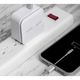 Кабель USB Type-C - Lightning, Moshi, 1.2м, Silver (99MO084105) фото