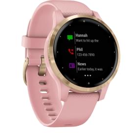 Смарт-часы Garmin Smart Watch Vivoactive 4S Dust Rose Light Gold фото