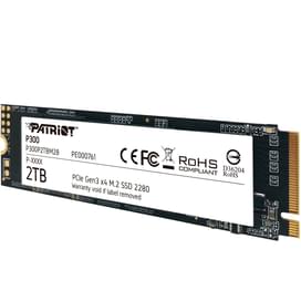 Внутренний SSD M.2 2TB Patriot P300 PCIe 3.0x4 NVMe 3D TLC (P300P2TBM28) фото