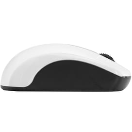 Мышка беспроводная USB Genius ECO-8100, White фото