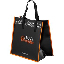 Сумка полипропилен, Technodom "I Love Qazaqstan", 37*37*25 см (BAG_I_love_KZ) фото