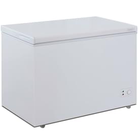 Бирюса-305 KX Мұздатқышы фото