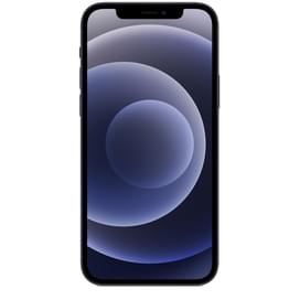 Смартфон Apple iPhone 12 4/64GB Black фото