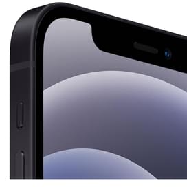 Смартфон Apple iPhone 12 4/128GB Black фото