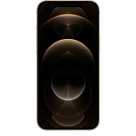 Смартфон Apple iPhone 12 Pro Max 6/128GB Gold фото