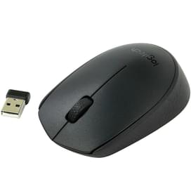 Мышка беспроводная USB Logitech B170 Black (910-004798) фото