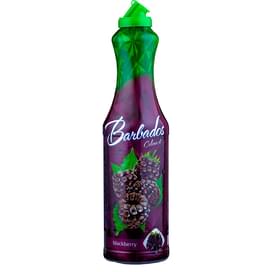 Сироп Barbados Ежевика 1 л, 10121 фото
