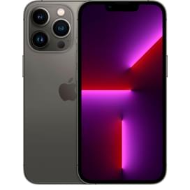 Смартфон Apple iPhone 13 Pro 6GB/1TB Graphite фото