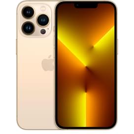 Смартфон Apple iPhone 13 Pro 6GB/1TB Gold фото