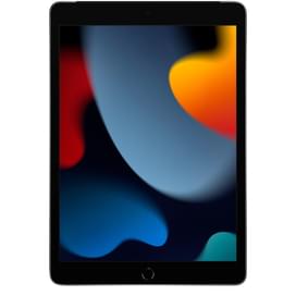 Планшет Apple iPad 10.2 2021 64GB WiFi + Cellular Space Grey (MK473RK/A) фото