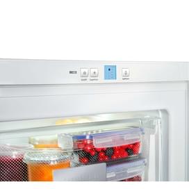 Liebherr G 1213 001 мұздатқышы фото