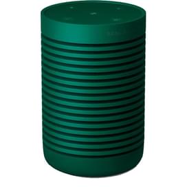 Колонки Bluetooh Bang & Olufsen Beosound Explore, Green (1626004) фото