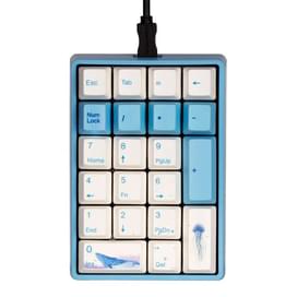 Игровая клавиатура Varmilo VA21M Sea Melody - Cherry MX Brown (VA21MN2N/LBPE7HV) фото