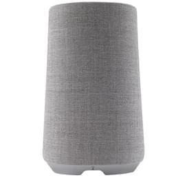 Колонки Bluetooth Harman Kardon Citation 100, Grey (HKCITATION100GRYEU) фото