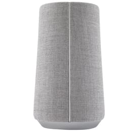 Колонки Bluetooth Harman Kardon Citation 100, Grey (HKCITATION100GRYEU) фото