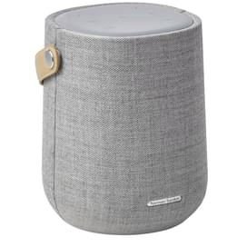 Колонки Bluetooth Harman Kardon Citation 200, Grey (HKCITATION200GRYEU) фото