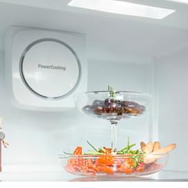 Liebherr Тоңазытқышы CNPef 4313 001 фото