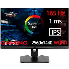 Игровой монитор 27" MSI Optix MAG274QRF-QD 2560x1440 16:9 IPS 165ГЦ (2HDMI+DP+Type-C) Black фото