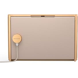 Аудиосистема Bang & Olufsen BeoSound Level Gold Tone Alu/Light Oak фото
