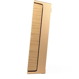 Аудиосистема Bang & Olufsen BeoSound Level Gold Tone Alu/Light Oak фото
