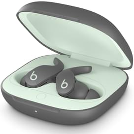 Наушники Вставные Beats Fit Pro True Wireless Earbuds, Sage Grey (MK2J3ZM/A) фото