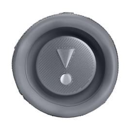 Колонка Bluetooth JBL Flip 6, Grey (JBLFLIP6GREY) фото