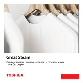 Стиральная машина Toshiba TW-BL70A2UZ(SS) фото