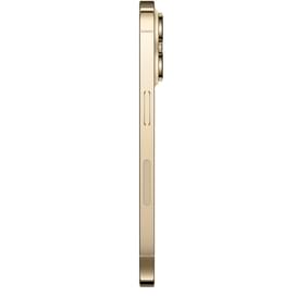 Смартфон Apple iPhone 14 Pro 6/256GB Gold фото