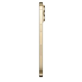 Смартфон Apple iPhone 14 Pro Max 6/512GB Gold фото