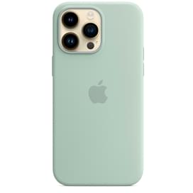 iPhone 14 Pro Max, Silicone Case with MagSafe, Succulent (MPTY3ZM/A) арналған тысқабы фото