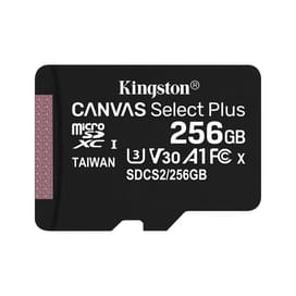 Карта памяти MicroSD 256GB Kingston, UHS-I 100MB/s, Class 10 (SDCS2/256GB) фото