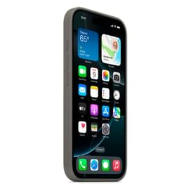 Чехол для iPhone 16 Pro Silicone Case with MagSafe - Stone Gray (MYYL3ZM/A) фото