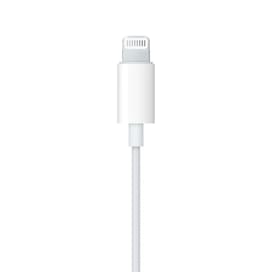Наушники Apple EarPods with Lightning Connector фото