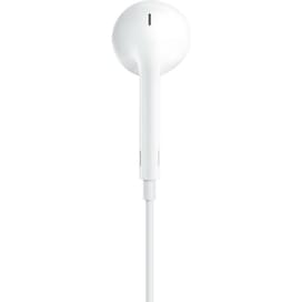 Наушники Apple EarPods (USB-C) фото