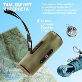 Портативная умная колонка Яндекс Станция Стрит с Алисой, 30 Вт, Серый фото