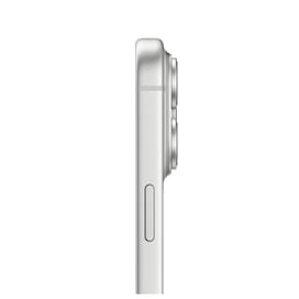 Смартфон Apple iPhone 17 Pro Max 12/256GB/6.9/48 Silver фото