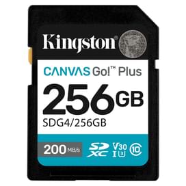Карта памяти SD 256GB Kingston Canvas Go, Class 10 (SDG4/256GB) фото