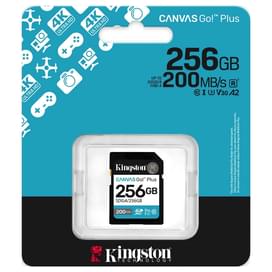 Карта памяти SD 256GB Kingston Canvas Go, Class 10 (SDG4/256GB) фото