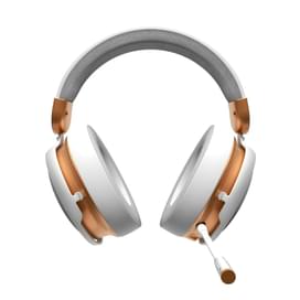 Игровая гарнитура беспроводная Dark Project Sono, White (DPP_SONO_WLESS_WHITE) фото