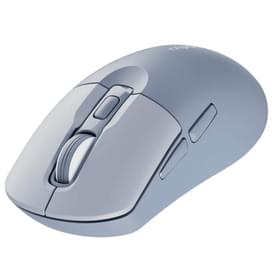 Мышка беспроводная Rapoo M308 Silent Blue фото