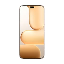 Смартфон GSM HONOR 600 Lite 5G 8/256Gb Пустынный Золотой фото