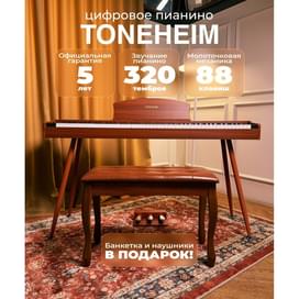 Цифровое пианино TONEHEIM YM-A01U Burlywood, с банкеткой Y-503 фото