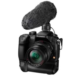 Микрофон Panasonic DMW-MS2E фото