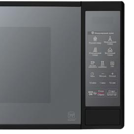 Микроволновая печь LG MS-2042DARB фото