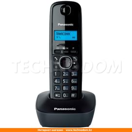 Dect Panasonic KX-TG1611CAH телефоны фото