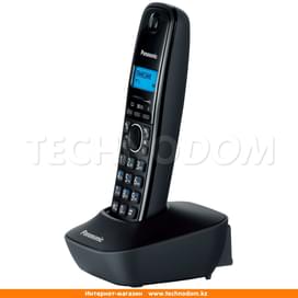 Dect Panasonic KX-TG1611CAH телефоны фото