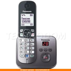 Радиотелефон Dect Panasonic KX-TG6821CAM фото